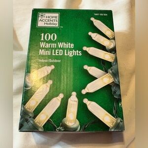 Accents Holiday Warm White Mini LED Lights